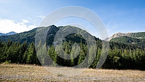 Slovakian carpathian mountains in autumn