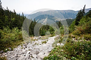 Slovakian carpathian mountains in autumn