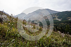 Slovakian carpathian mountains in autumn