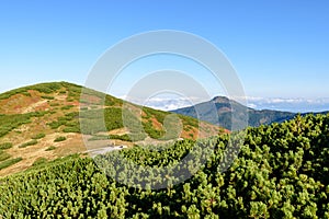 Slovakian carpathian mountains in autumn. sunny hill tops in sum