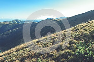 Slovakian carpathian mountains in autumn. sunny hill tops in sum