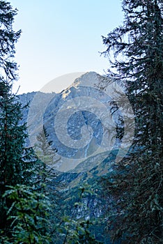 Slovakian carpathian mountains in autumn. sunny hill tops in sum