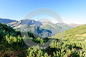 Slovakian carpathian mountains in autumn. sunny hill tops in sum