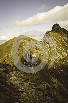 Slovakian carpathian mountains in autumn. - vintage film look