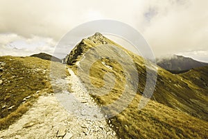 Slovakian carpathian mountains in autumn. - vintage film look