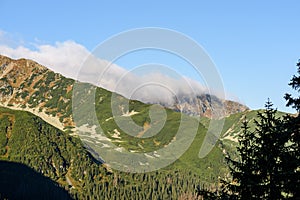 Slovakian carpathian mountains in autumn. sunny hill tops in sum