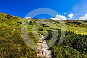 Slovenský Chopok Nízké Tatry krajina