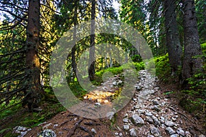 Slovakian Chopok Low Tatra landscape