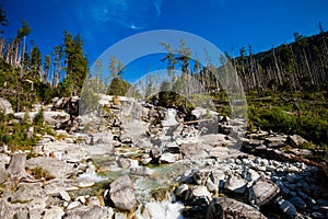 Slovakian Velka Studena Dolina Tatra