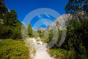 Slovenská Veľká Studená Dolina Tatra