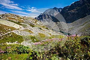 Slovakian Velka Studena Dolina Tatra