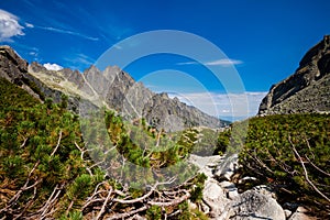 Slovenská Velká Studená Dolina Tatra