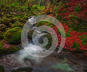 Slovenia - Stream with bridge and wooden houses in autumn woodland with brown and red foliage