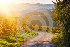 Slovenian and Austrian wine road