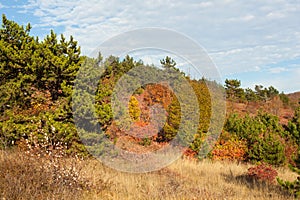 Slovenian countryside