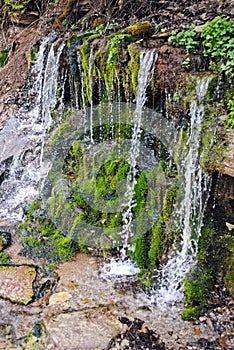 Slovenian water springs in Izborsk