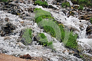 Slovenian water springs in Izborsk