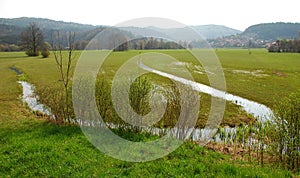 Slovenian Wetland