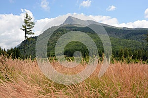 Slovensko, High Tatras, Krivan peak