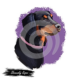 Slovensky kopov slovak pet wearing collar on neck digital art. Watercolor portrait closeup of domestic animal from