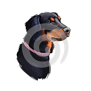Slovensky kopov slovak pet wearing collar on neck digital art. Watercolor portrait closeup of domestic animal from Slovak hound
