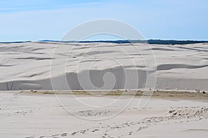 Slovinski national park, Leba sand dune on the Baltic coast, Poland, Europe