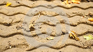 Slow camera movement. Detail of tractor or offroad wheels trail in light brown mud on forest road. Oak leaves, acorns, broken twig