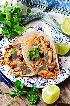 Slow Cooker Shredded Chicken Tex-Mex