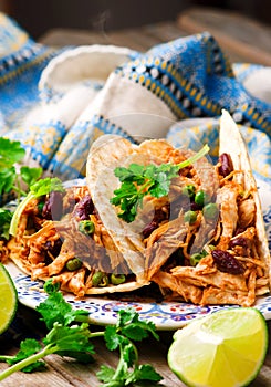 Slow Cooker Shredded Chicken Tex-Mex