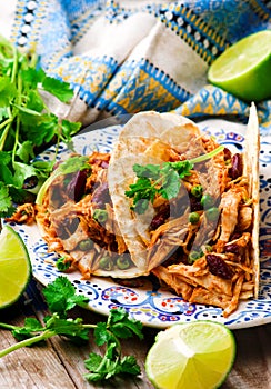 Slow Cooker Shredded Chicken Tex-Mex