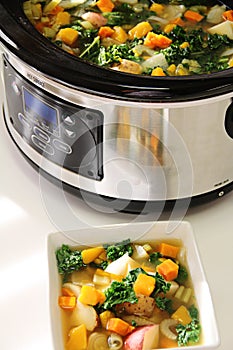 Slow cooker stew