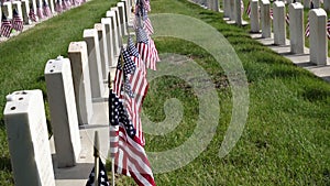 Slow Dolly Past Military Headstones