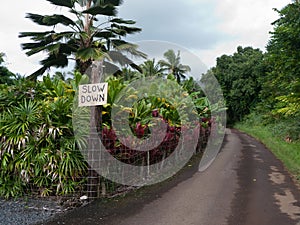 Slow down sign on narrow road