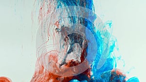 Slow drop of red and blue paint in water, followed by dissolving and mixing