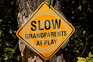 Slow Grandparents @ Play