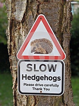 Slow Hedgehogs Crossing Sign