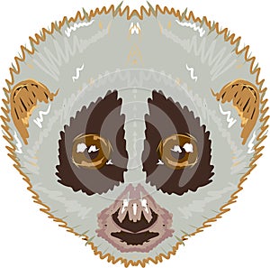 Slow loris sketch vector illustration clip-art image