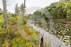 Slow Meandering River Channel in Late Summer - Ontario, Canada