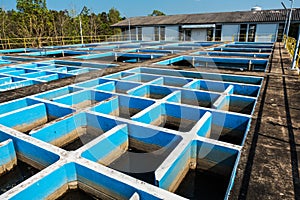 Slow mixing Flocculation and Sedimentation tank in Conventional Water Treatment Plant