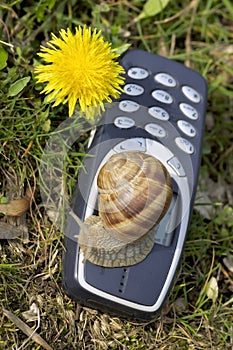 Slow mobile in the nature