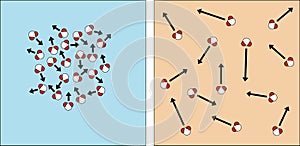 Slow Molecules and Fast Molecules