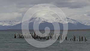 Slow Motion of Abandoned Wooden Pier with Birds in Puerto Natales