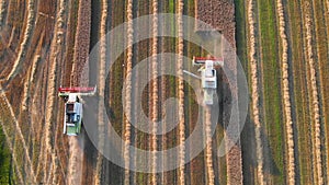 Slow motion of an aerial view of two combine-harvesters on the field