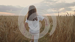 Slow motion, the camera follows a little girl of 4-5 years old running in a field of grain golden spikelets at sunset