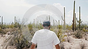 Slow motion camera follows young tourist man exploring amazing big Saguaro cactus desert in epic Arizona national park.