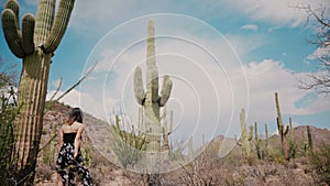 Slow motion cinematic low angle, young beautiful tourist woman in long dress walks among big Saguaro cactus desert field