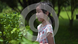 Slow motion Close-up Asian Chinese girl 5 years old plucking flowers nature outdoor