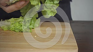 Slow motion - Close up of chief woman making salad healthy food and chopping lettuce on cutting board in the kitchen