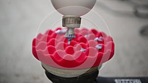 Slow motion closeup footage of professional worker applies special polishing paste or cream on polisher disc. Preparing