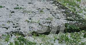 Slow motion closeup of hailstones on the grass after strong hailstorm